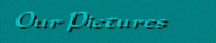 but2.gif (2718 bytes)
