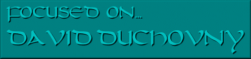 focusedbut.gif (13299 bytes)